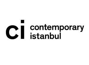 The Istanbul Convention  22.11.2012 - 25.11.2012